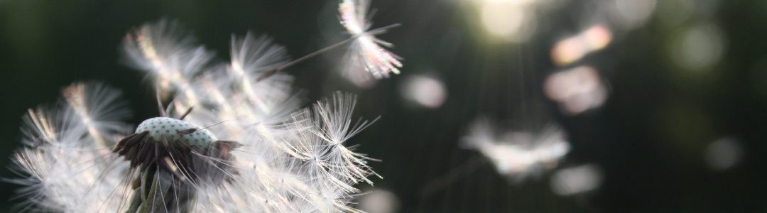 Matchmaking: Resources for Finding the Right Grant to Fit Your Library’s Need
