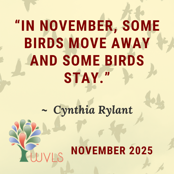 November 2025 Newsletter